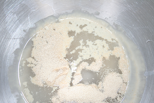 Yeast and water in mixing bowl