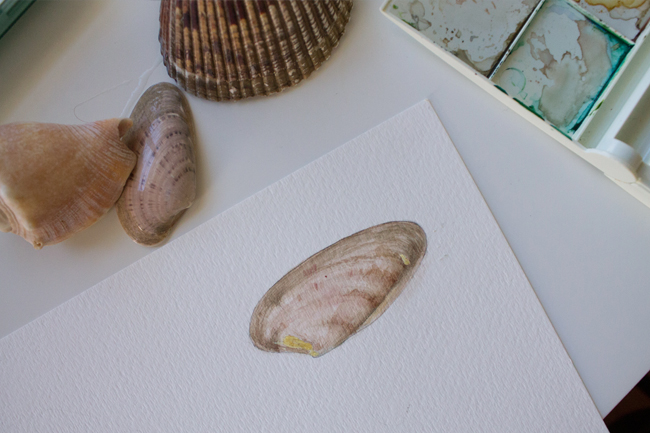 Sea shell painting