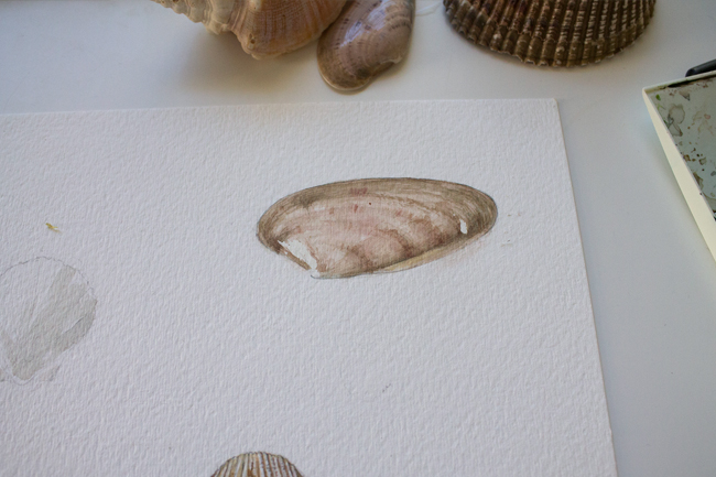 Sea shell painting