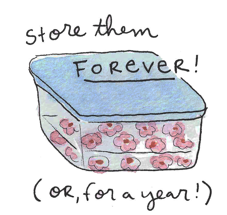 Cartoon: Royal Icing Storage, Stored in Tupperware