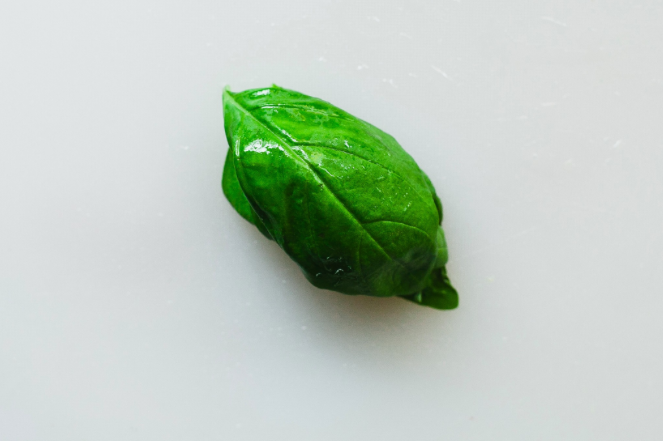 whole herb leaf