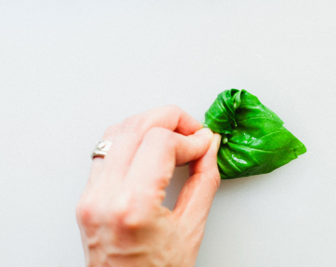Prepping the Leaf for Chiffonade Cut