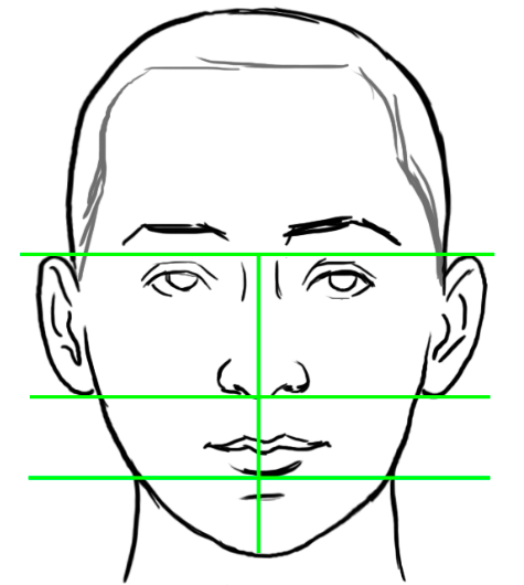 how to draw human faces proportions