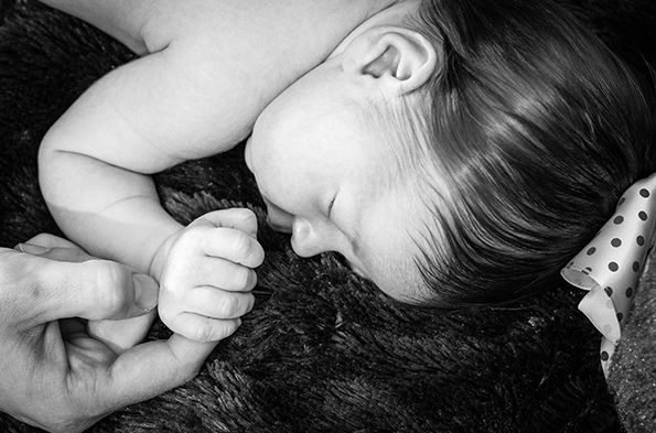 Newborn Portrait