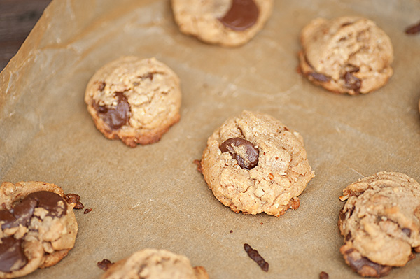 Multiple Chocolate Chip Cookies on Cookie Sheet