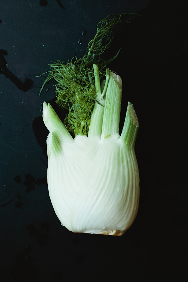 Fennel Bulb on Black Tabletop