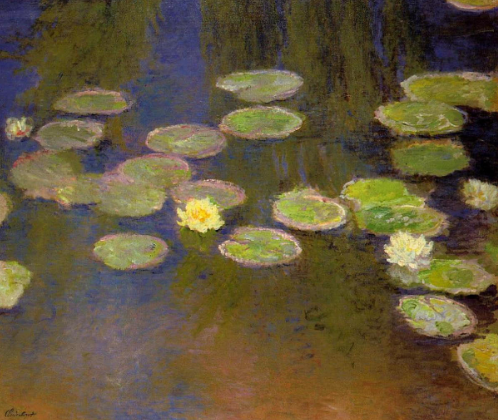 Close Up of Monet Water Lilies