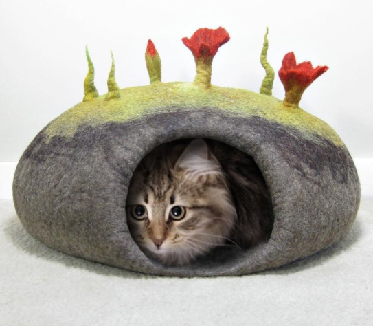 Cat Peeking Head Out of Cat Cave