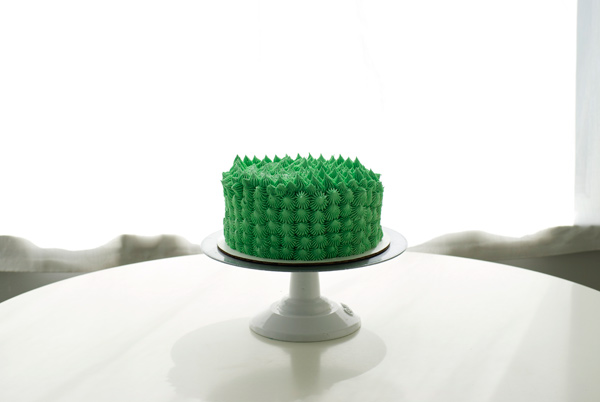 Piped Cactus Cake