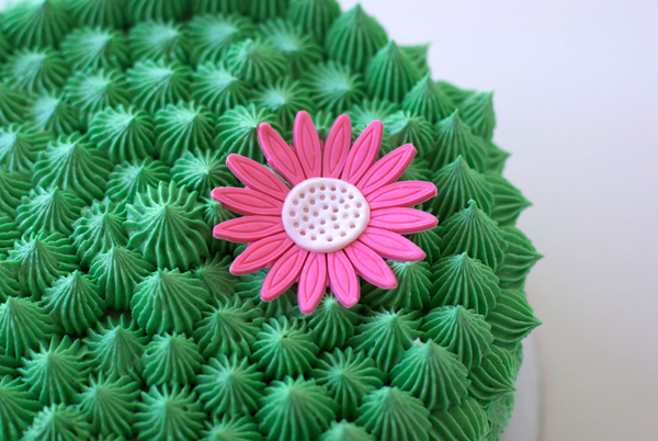 Cactus Cake With Fondant Flower Cactus Cake With Flower