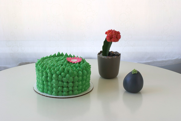 A fun & easy cactus cake tutorial on Bluprint!