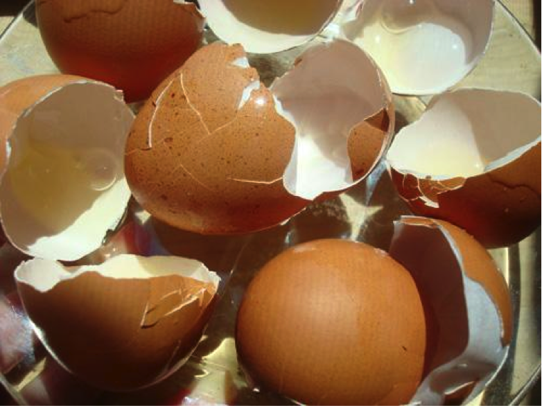 Eggs