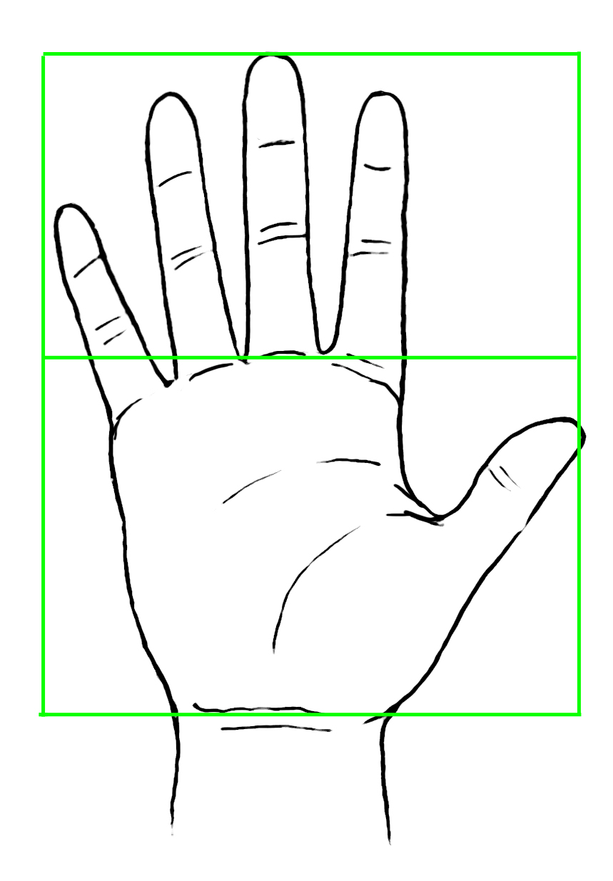 Drawing of Hand with Segments Indicated