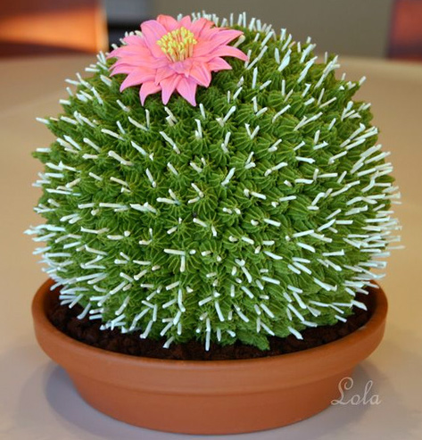 BigCactusCake Big Cactus Cake