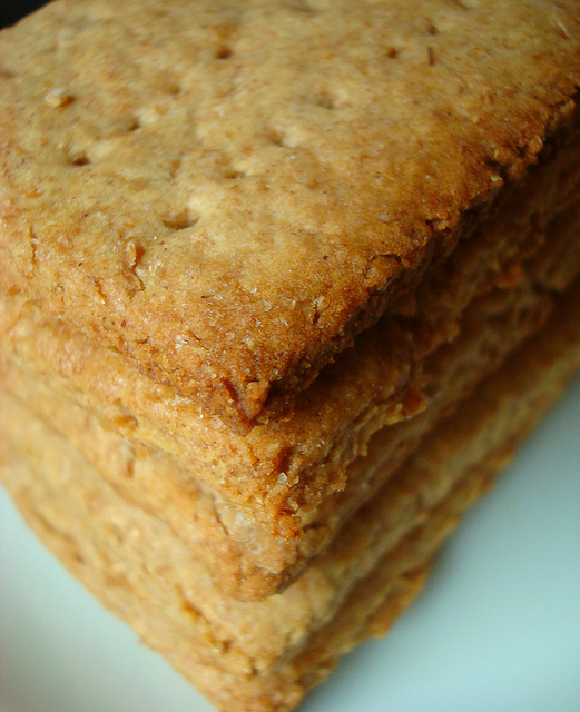 Close Up on Homemade Graham Crackers