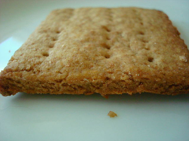 Closeup on One Graham Cracker