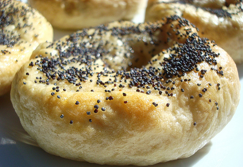 Fresh Bagels Topped with Poppy Seeds