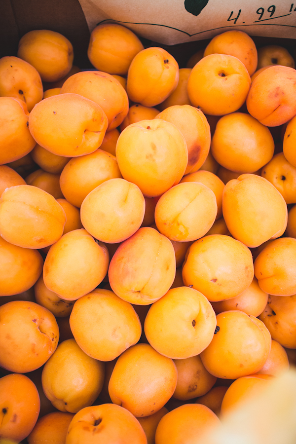 Plump Orange Apricots