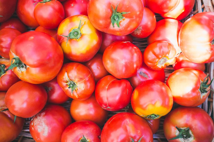 Ruby Red Fresh Tomatoes