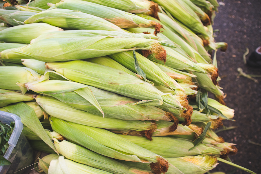 Stacks of Ears of Corn