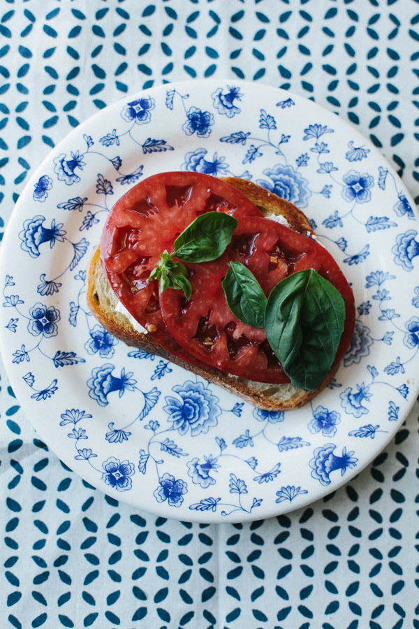 Slice of Toasted Bread Topped with Tomatoes and Basil 