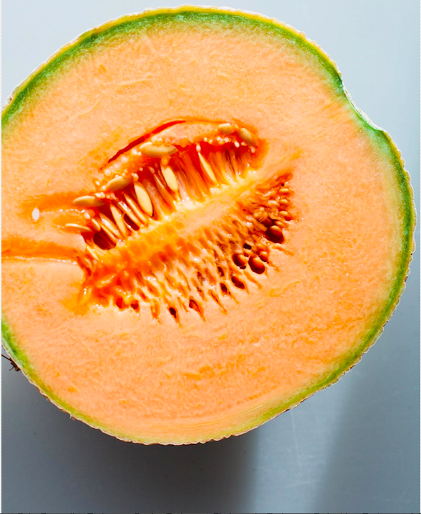 Cross Section of Juicy Cantelope