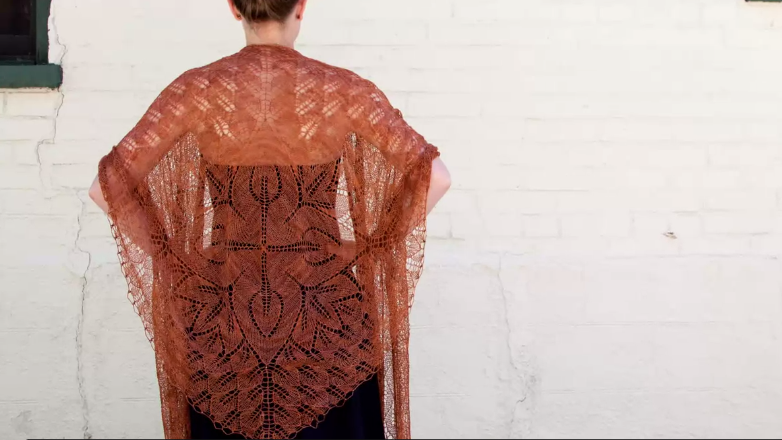 Woman Wearing Beautiful Knit Lace Shawl