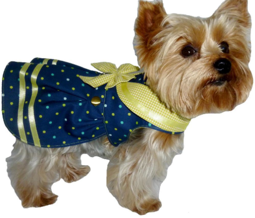 Dog Wearing Yellow and Blue Sailor Outfit 