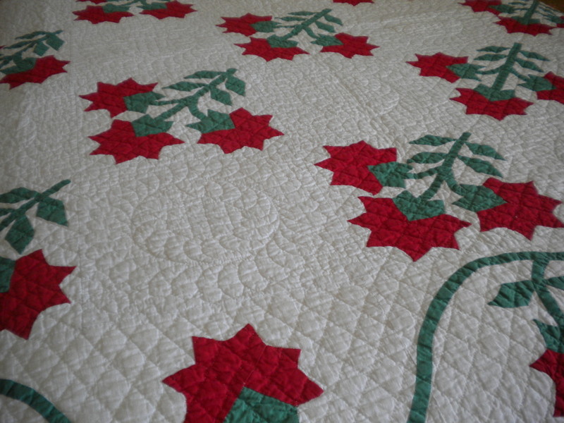 White Quilt with Red Floral Pattern 