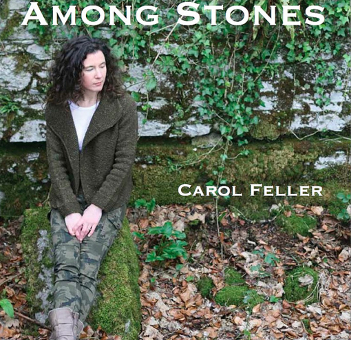 Cover of Carol Feller's Book Among Stones