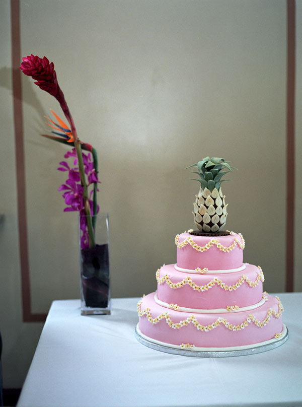 Pink Tiered Cake Topped with Pineapple 