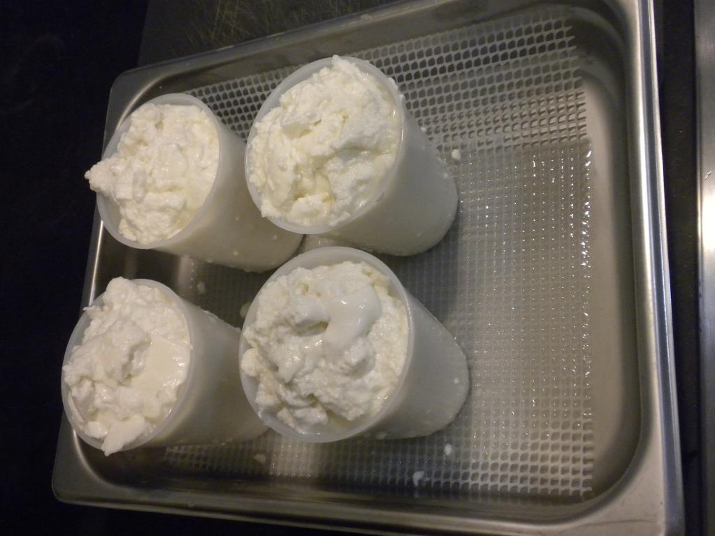 Goat Cheese in Cups on Tray