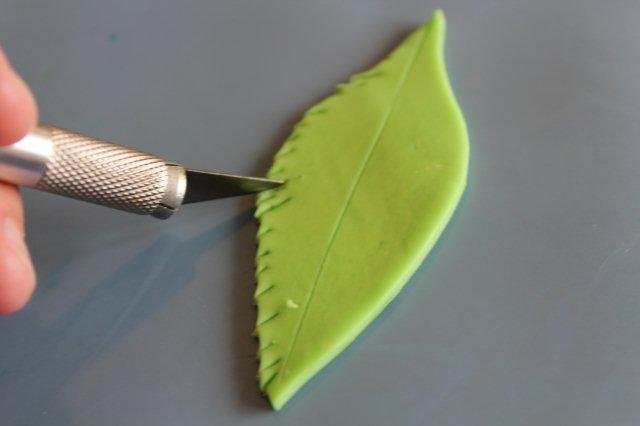 Adding Texture to Leaf for Modeling Chocolate Palm Tree
