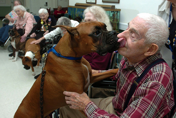 Photograph of Dog and Elderly Man