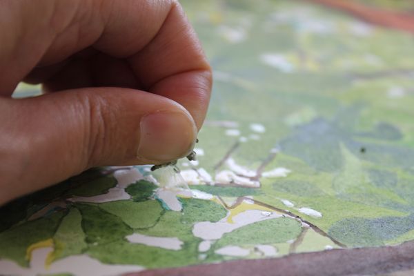 removing masking fluid by pulling gently with fingers