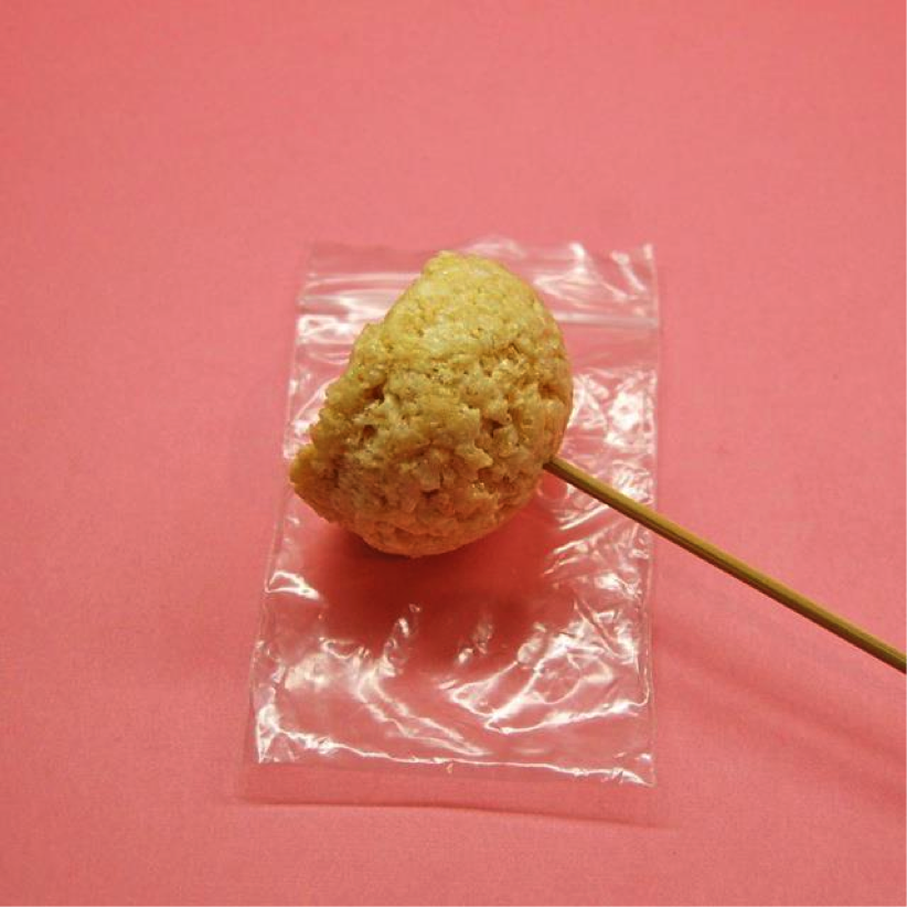 Skewer Inserted into Scoop of Rice Krispies