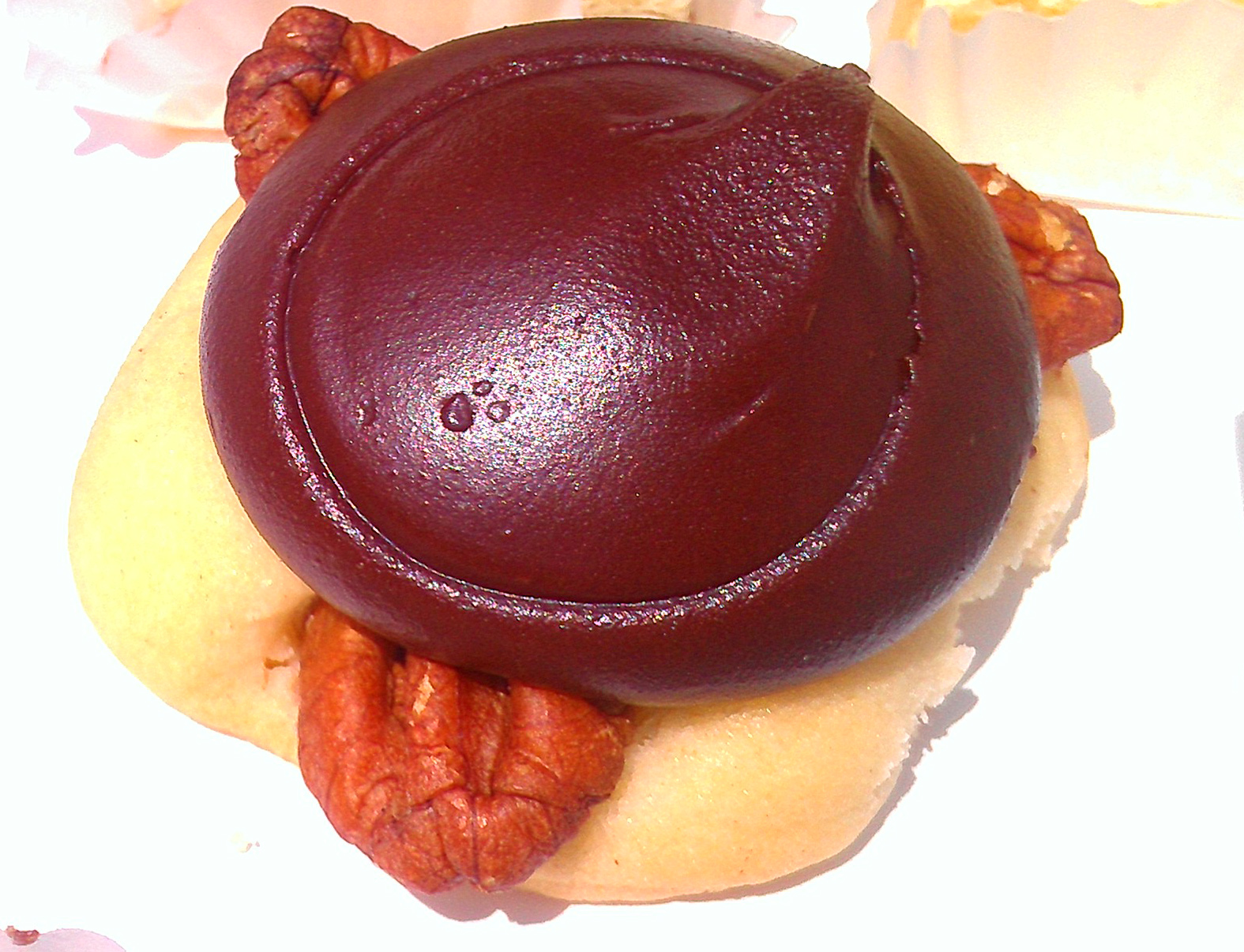 Close-Up of Chocolate and Caramel Turtle