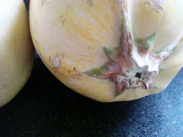 Top of Spaghetti Squash