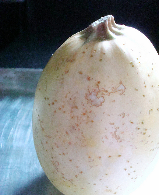 Outside of Spaghetti Squash