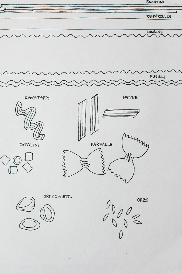 Drawing of Different Pasta Shapes and Types