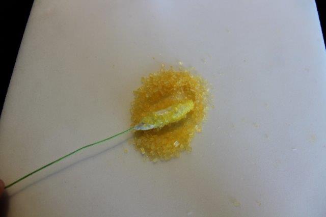 Rolling Gum Paste in Yellow Sugar