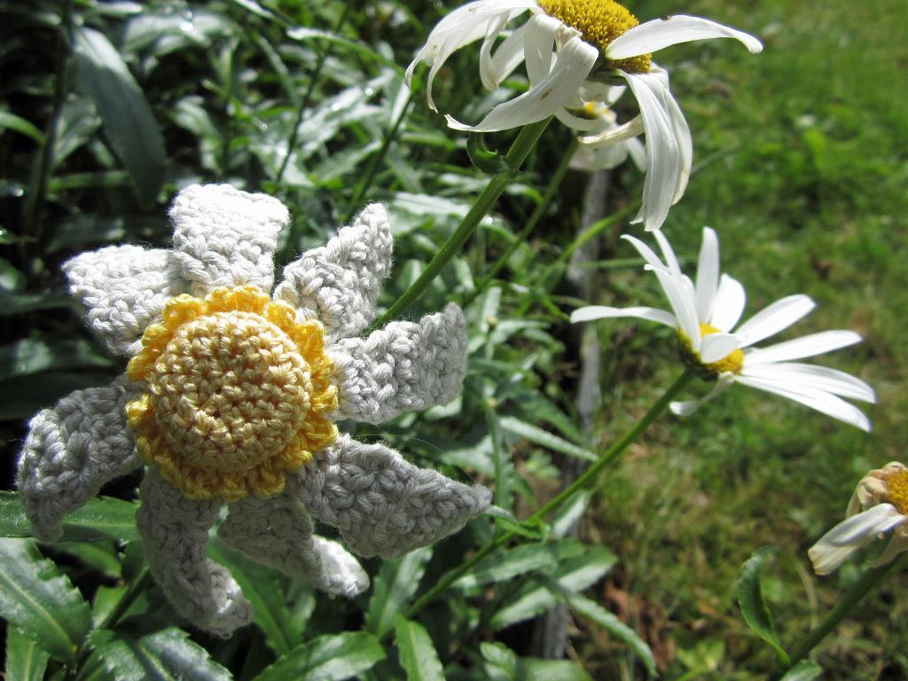 Knit White Chrysanthemum