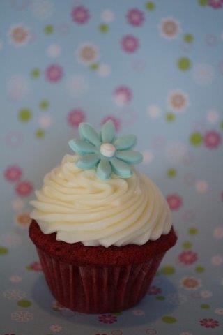 red velvet cupcake with blue flower