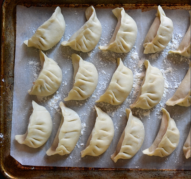 Pot Stickers Lined Up to Cook
