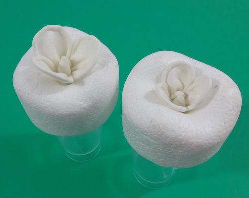Shaping and Drying the Sugar Flowers 
