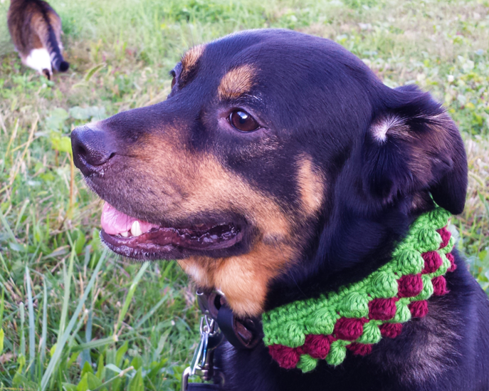 Crocheted Dog Collar 