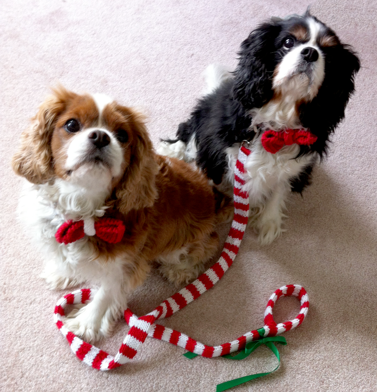 Holiday Knit Dog Leash 