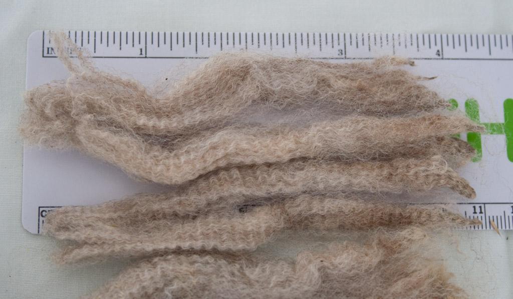 Types of Wool for Knitting - A Closer Look