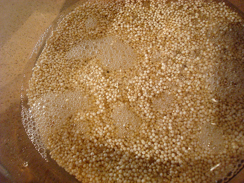 Simmering Quinoa in Water