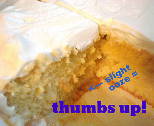 Slightly Soft (and Perfect!) Tres Leches Cake, Bluprint.com